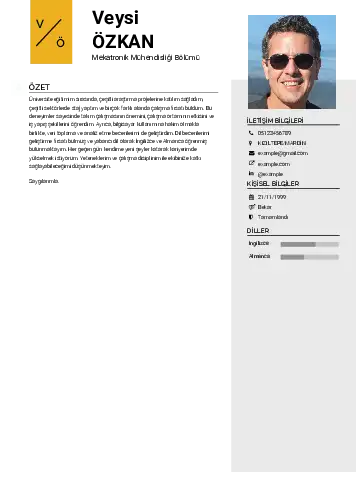 Mekatronik Mühendisliği Cv Örnekleri cv indir